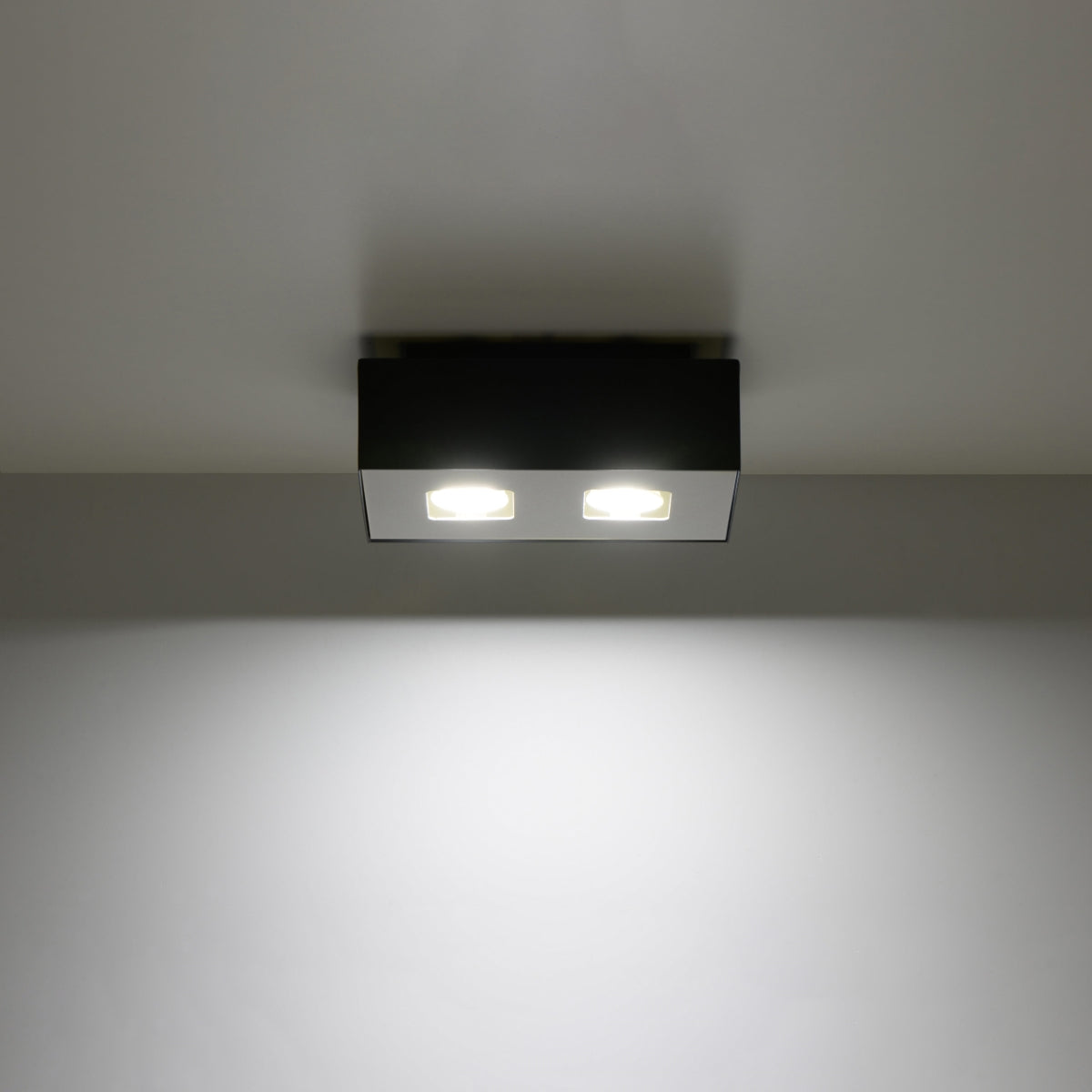 Ceiling lamp MONO 2 black - Diamond Work Sp. z o.o.