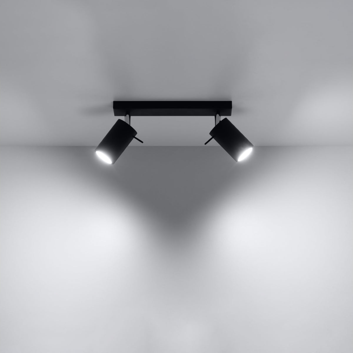 Ceiling lamp RING 2 black - Diamond Work Sp. z o.o.