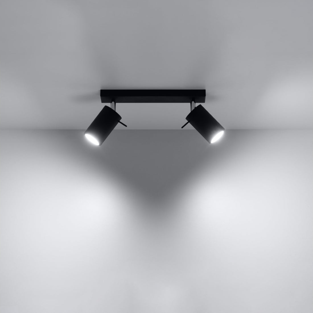 Ceiling lamp RING 2 black - Diamond Work Sp. z o.o.