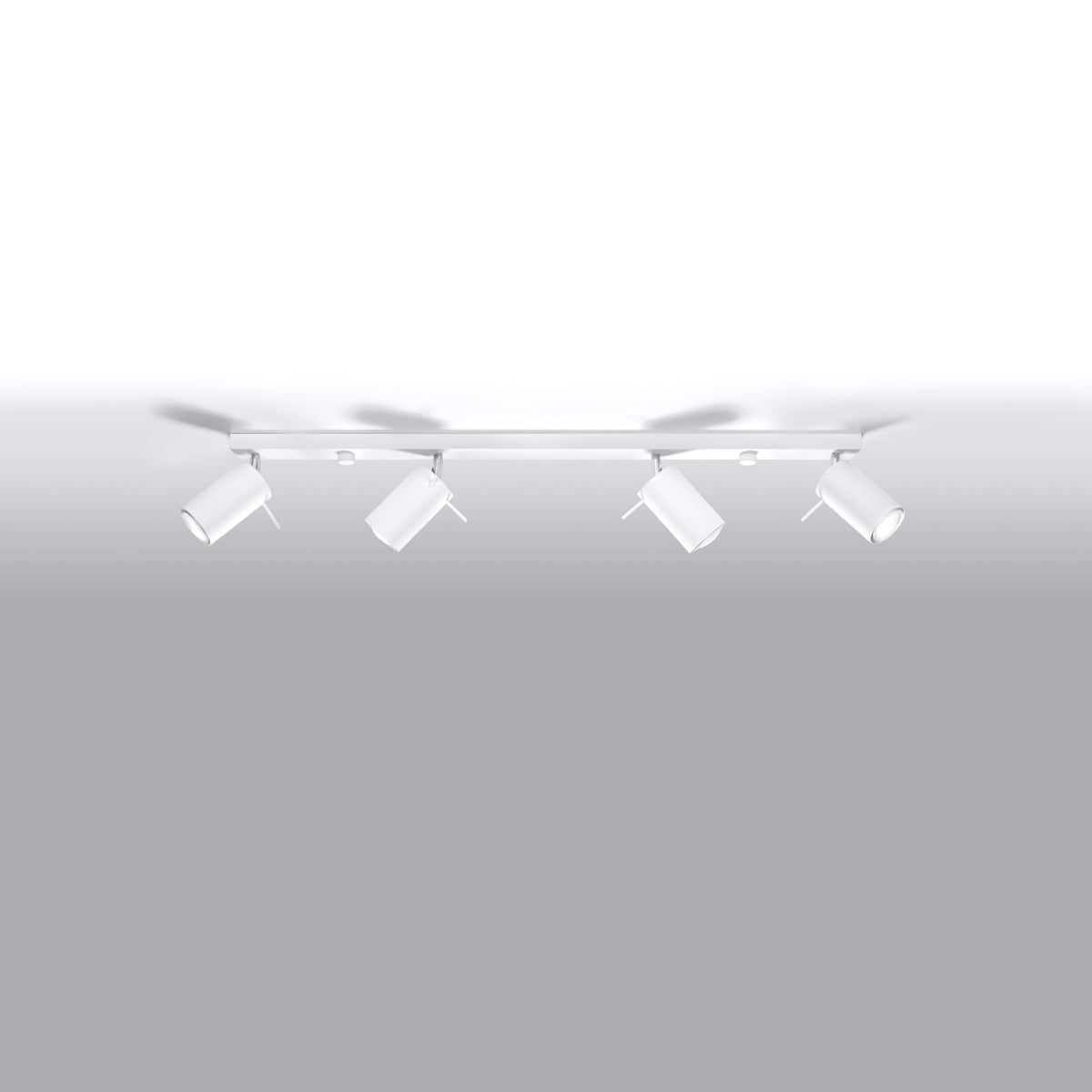 Ceiling lamp RING 4L white - Diamond Work Sp. z o.o.