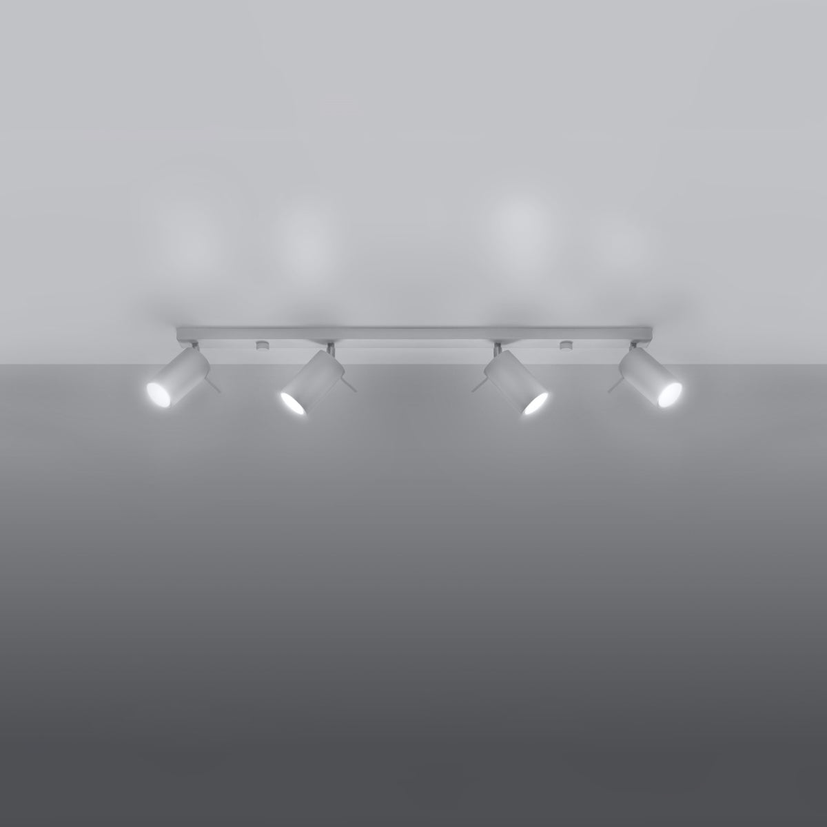 Ceiling lamp RING 4L white - Diamond Work Sp. z o.o.