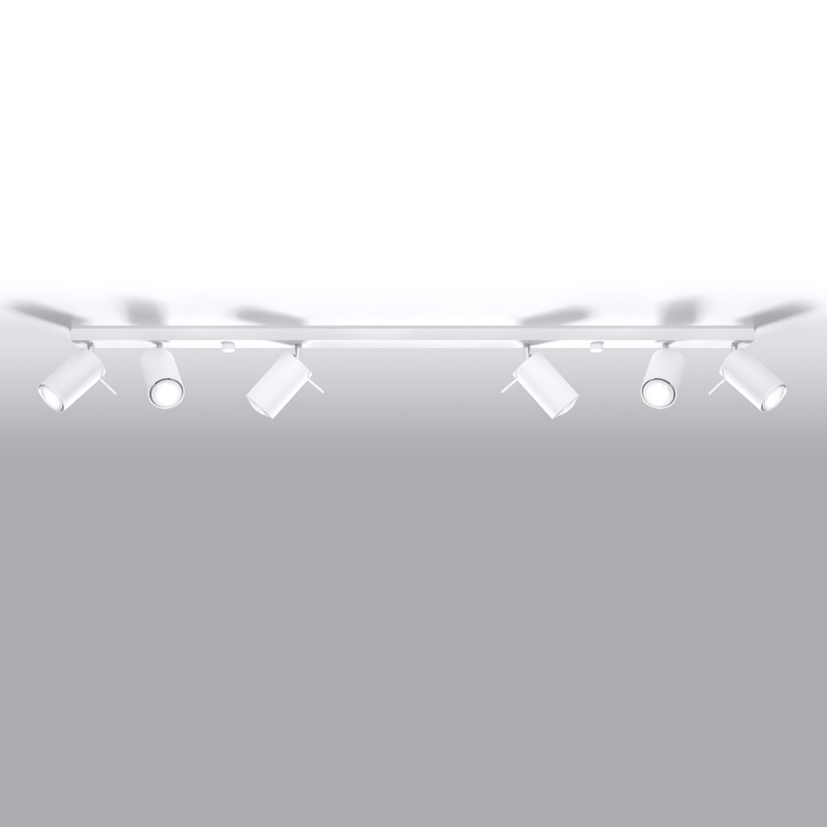 Ceiling lamp RING 6L white - Diamond Work Sp. z o.o.