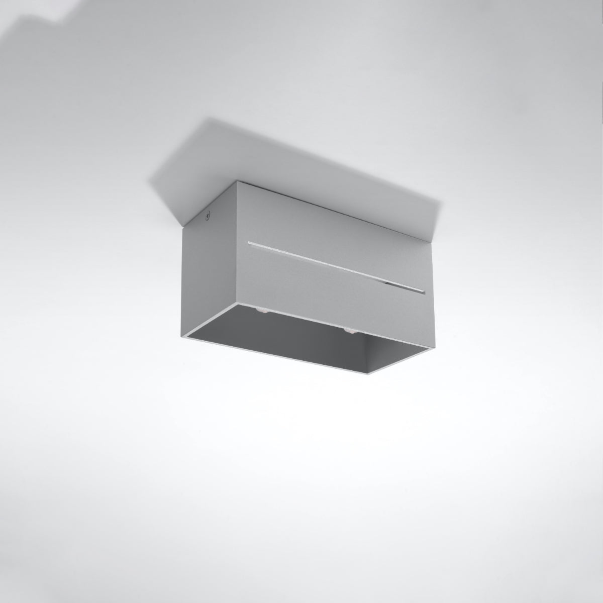 Ceiling lamp LOBO 2 grey - Diamond Work Sp. z o.o.