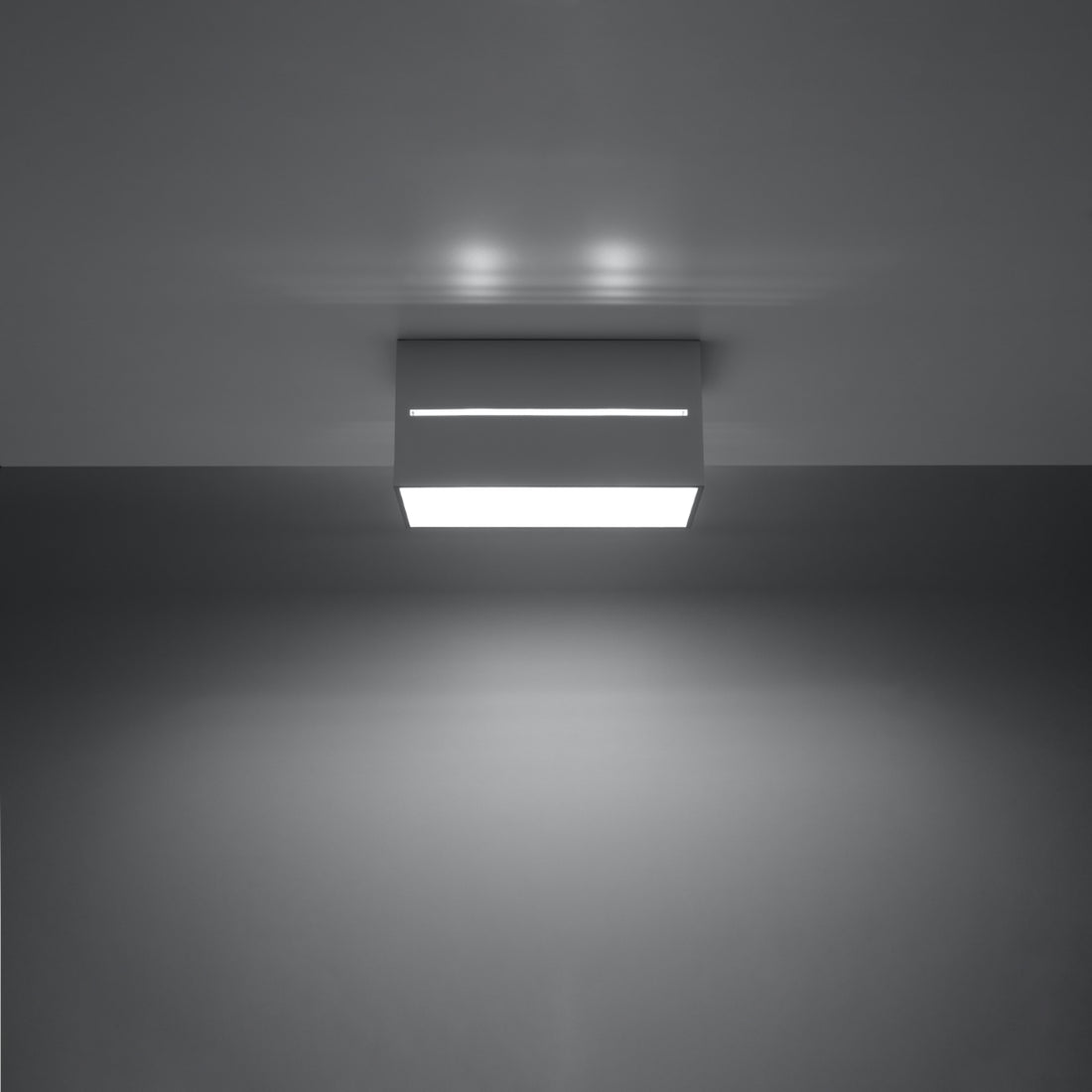 Ceiling lamp LOBO 2 grey - Diamond Work Sp. z o.o.