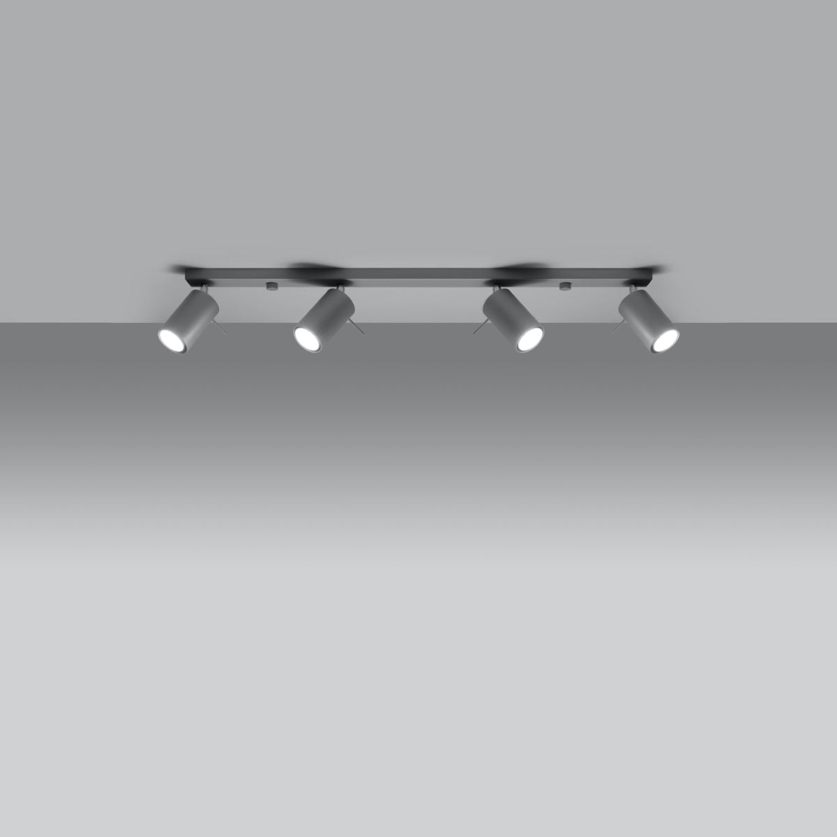 Ceiling lamp RING 4L grey
