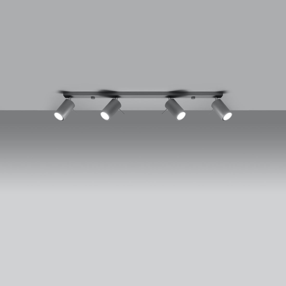 Ceiling lamp RING 4L grey