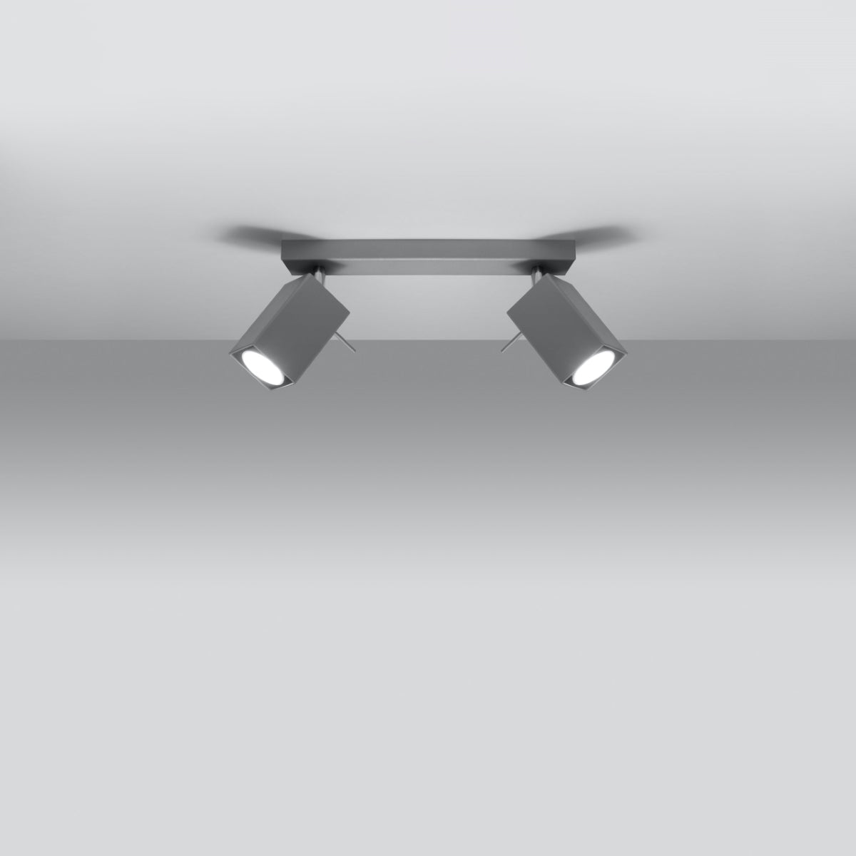 Ceiling lamp MERIDA 2 grey