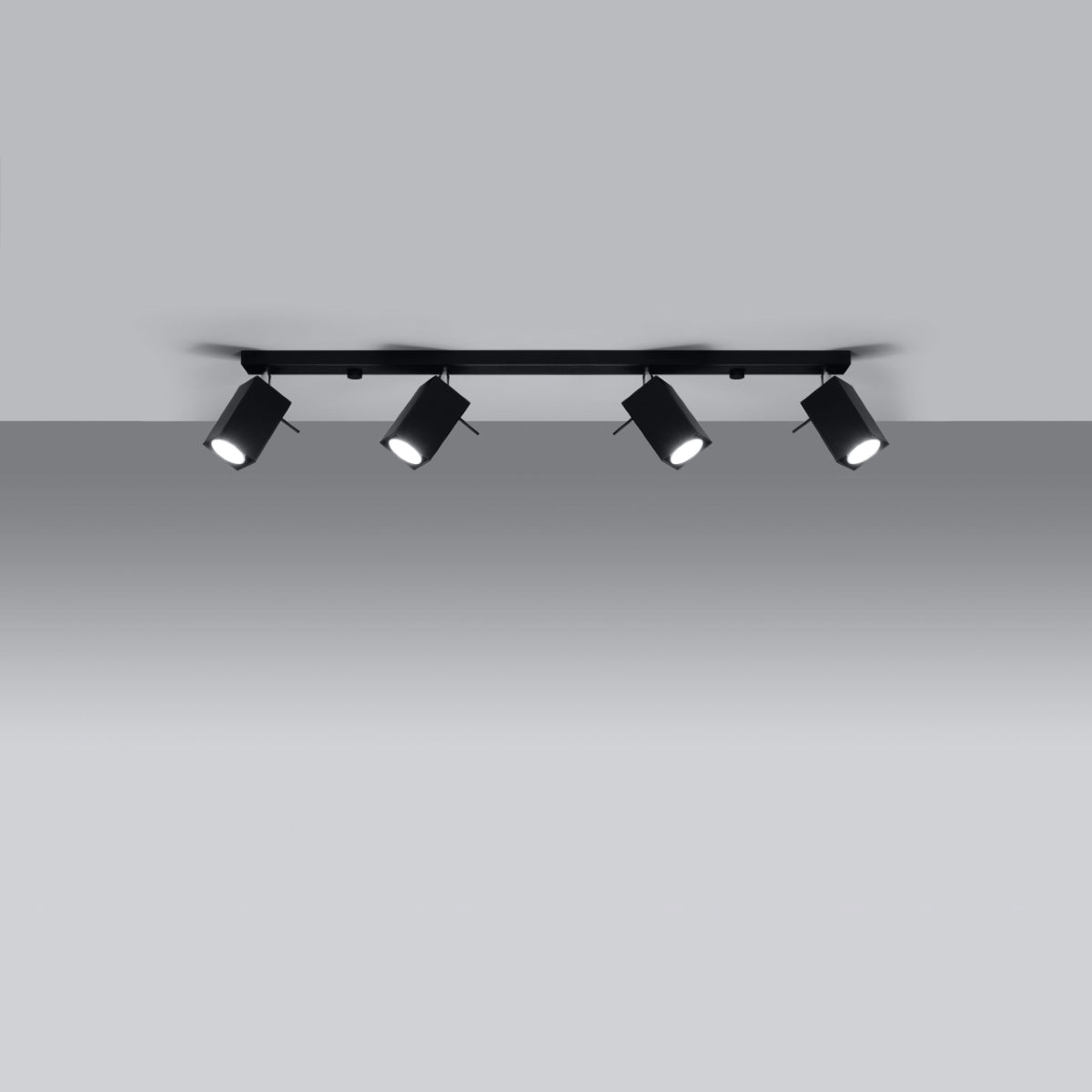 Ceiling lamp MERIDA 4L black