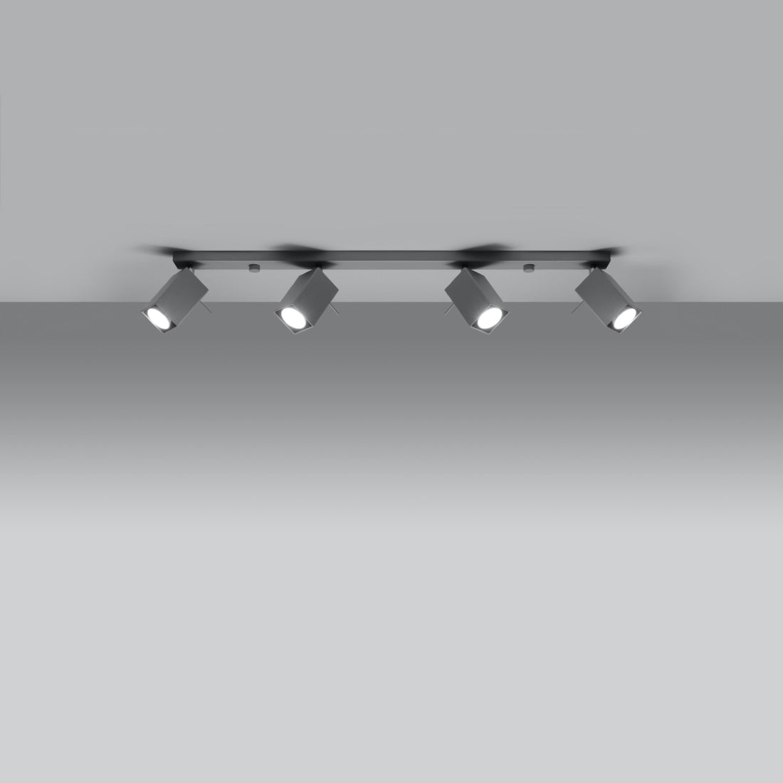 Ceiling lamp MERIDA 4L grey