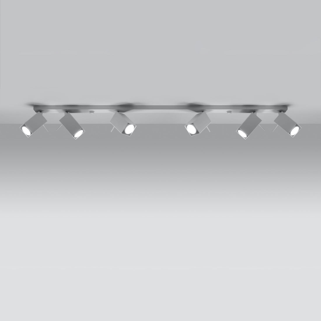 Ceiling lamp MERIDA 6L white