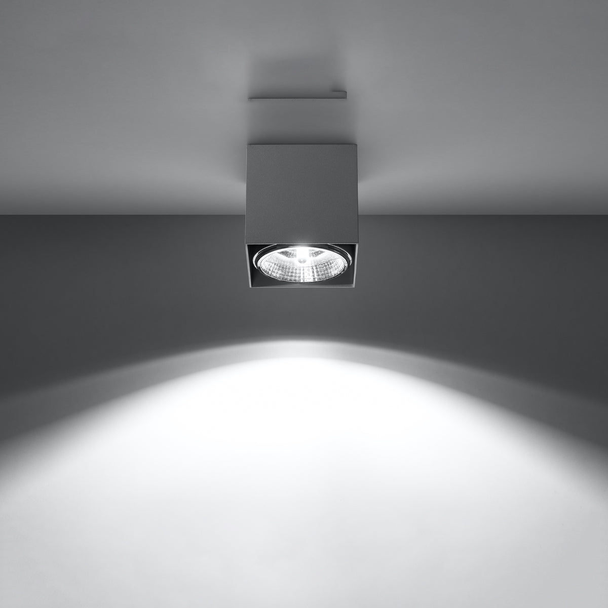 Ceiling lamp BLAKE grey
