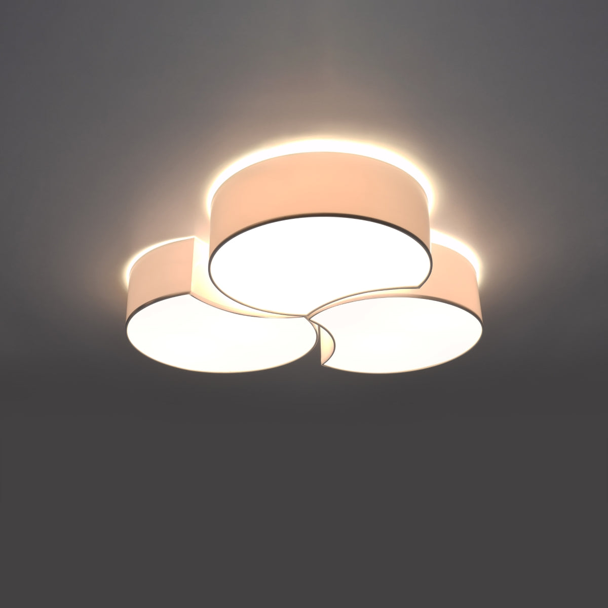 Ceiling lamp CIRCLE 3B white