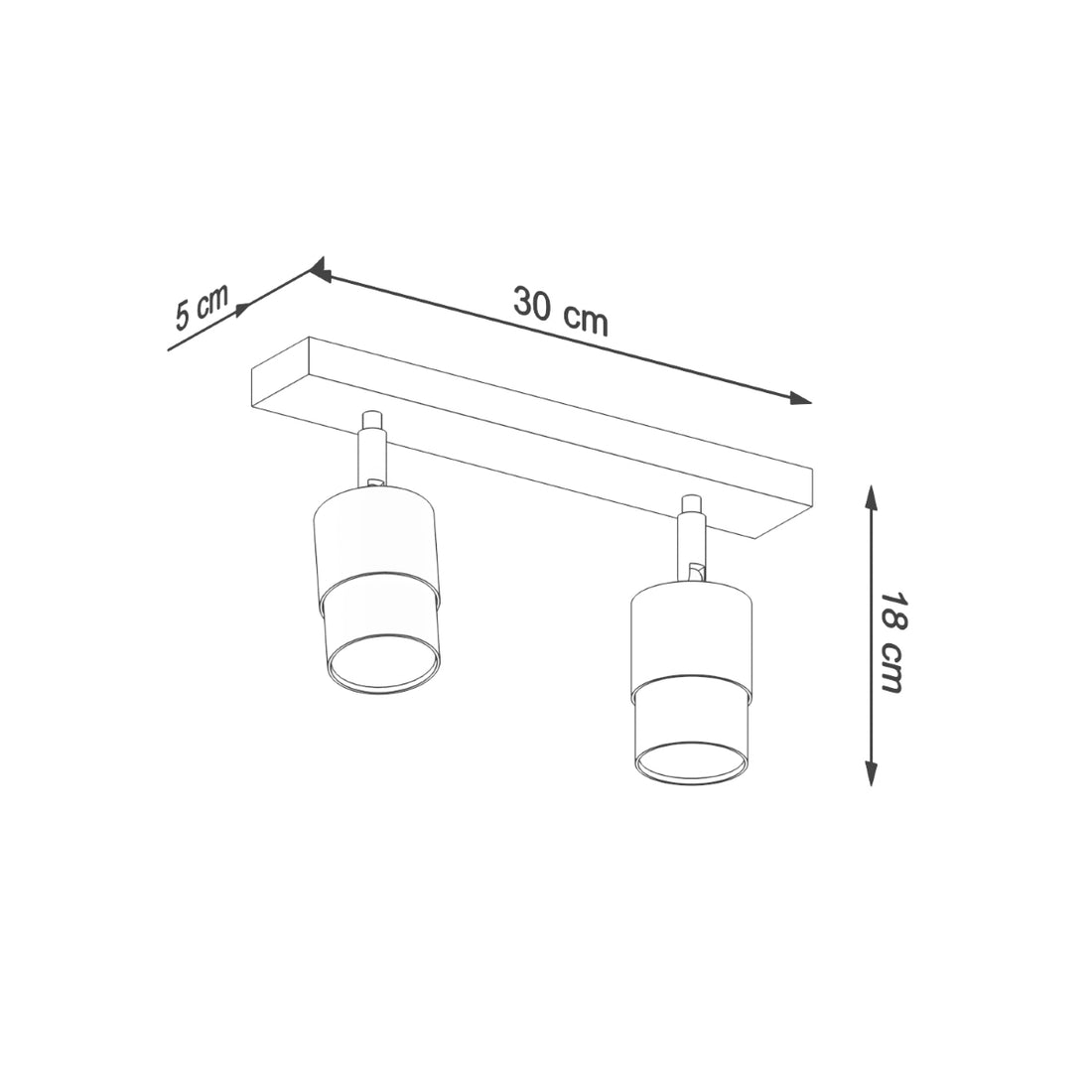 Ceiling lamp NERO 2 black/golden