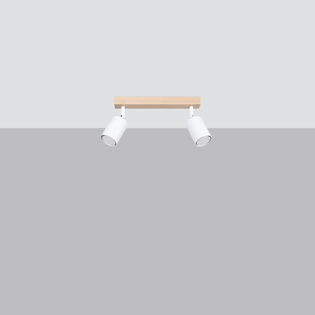 Ceiling lamp VERDO 2 white