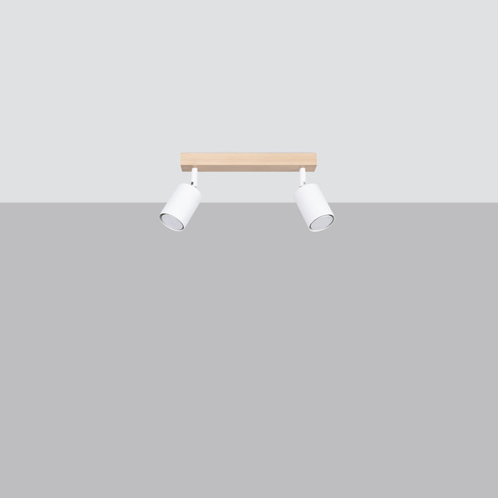 Ceiling lamp VERDO 2 white