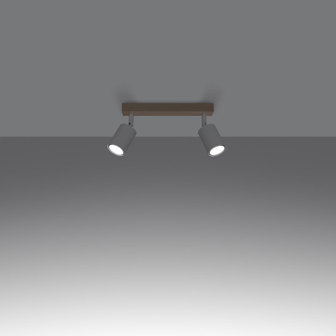 Ceiling lamp VERDO 2 white