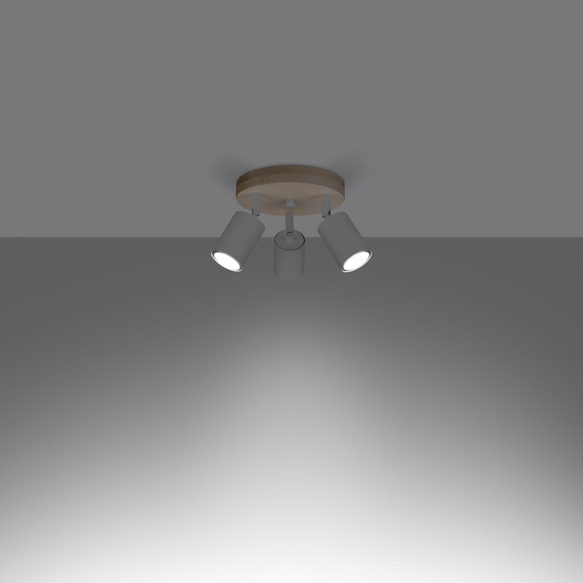 Ceiling lamp VERDO 3P white