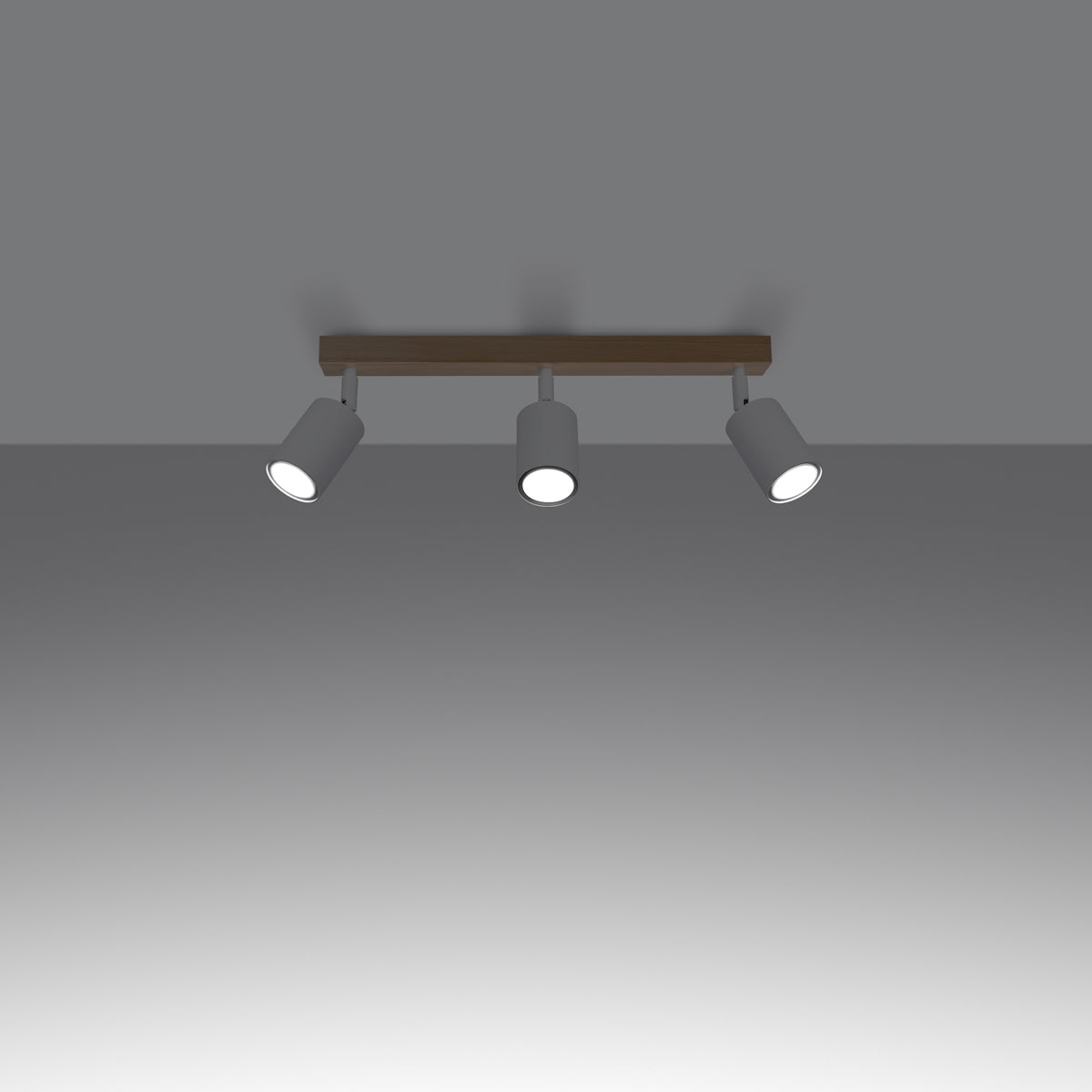 Ceiling lamp VERDO 3L white