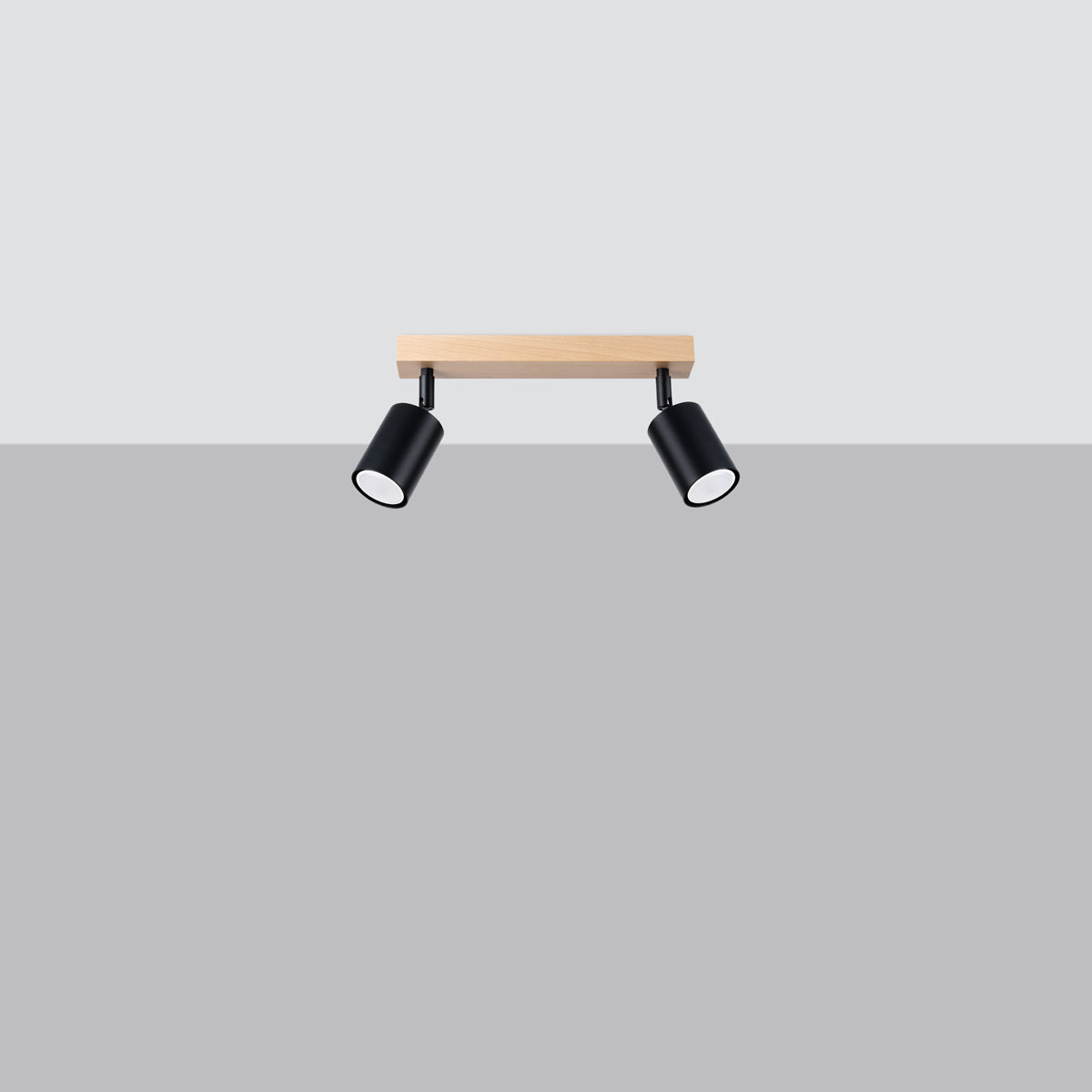 Ceiling lamp VERDO 2 black