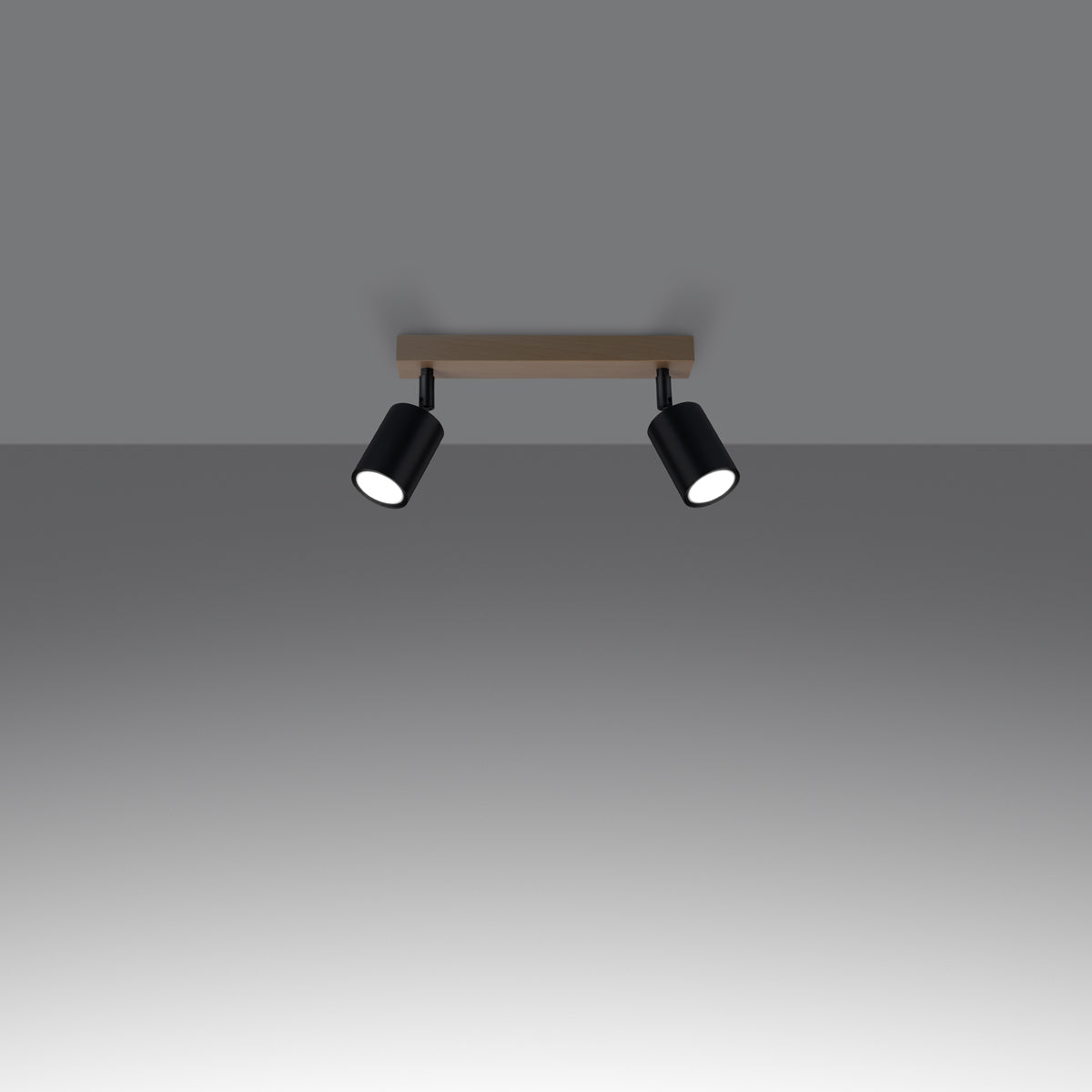 Ceiling lamp VERDO 2 black