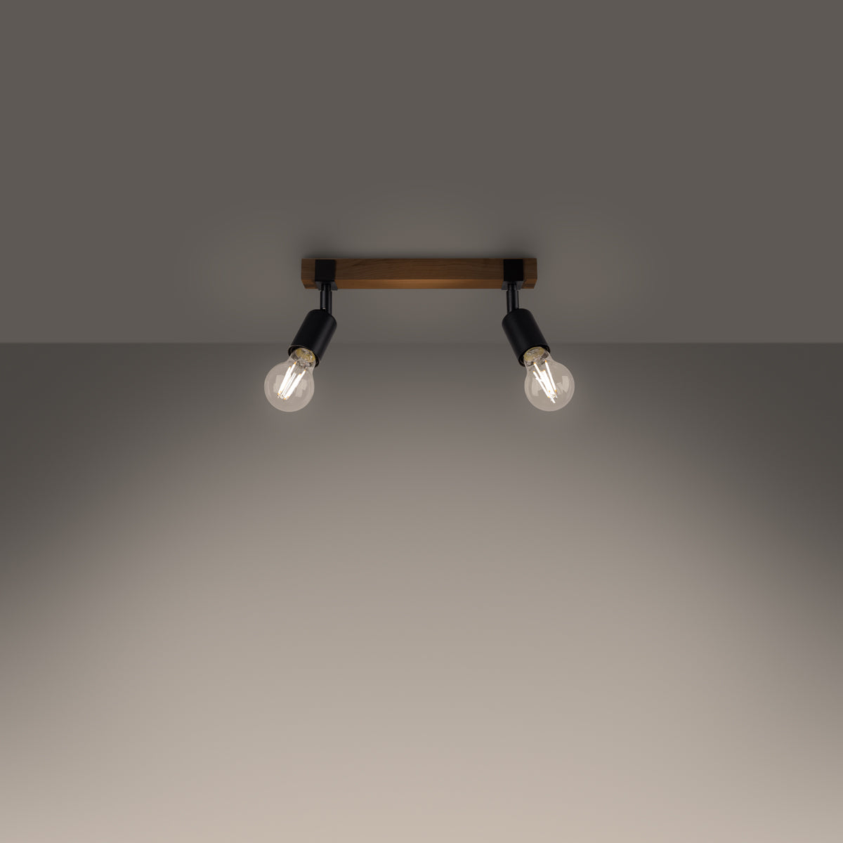 Ceiling lamp ZUCA 2 black