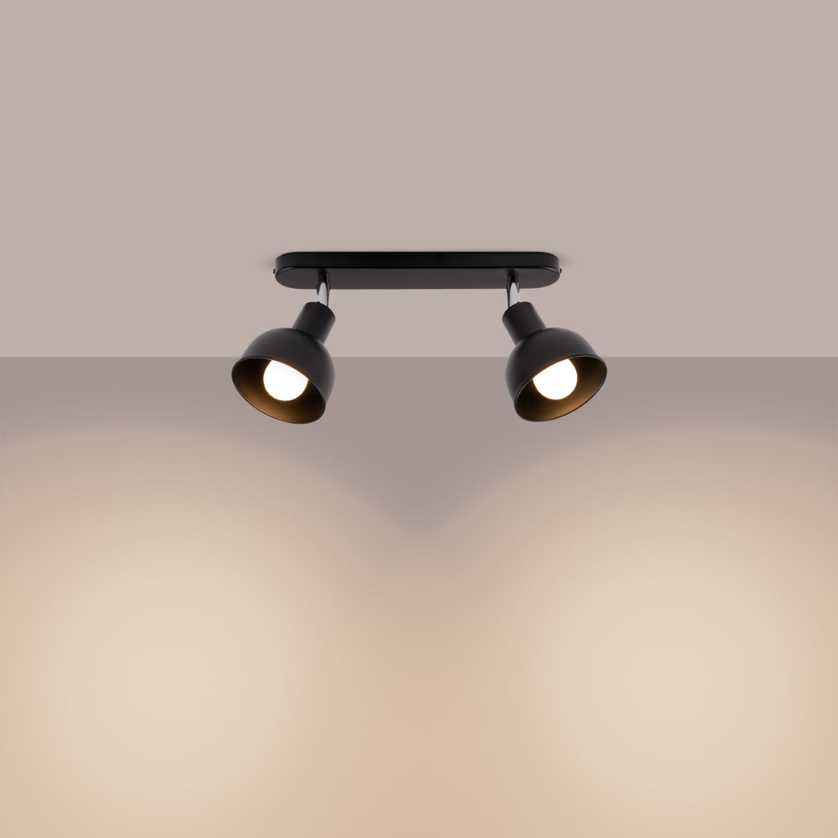 Ceiling lamp ELBA 2 black