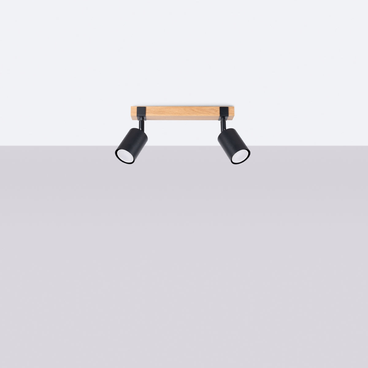 Ceiling lamp FAGER 2 black