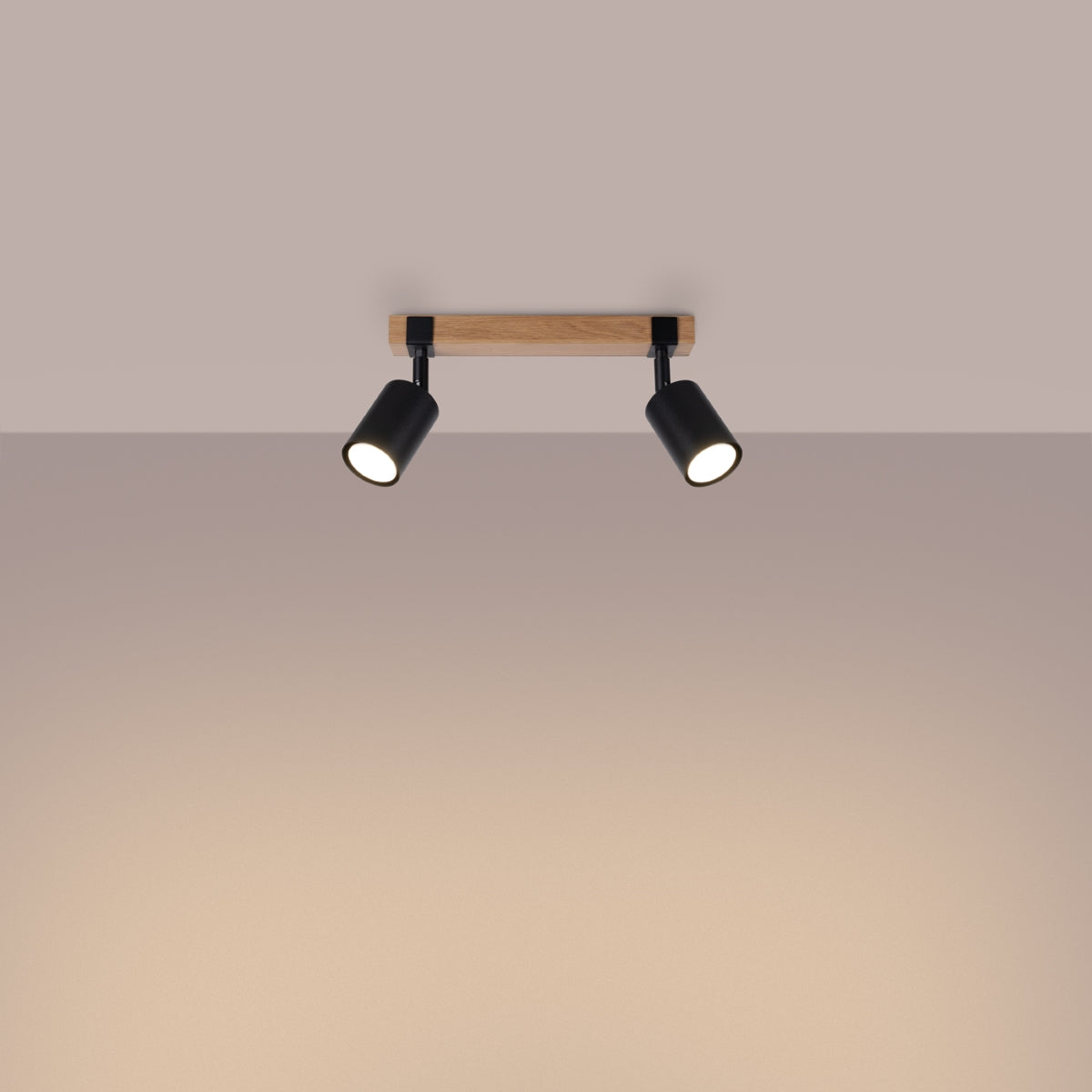 Ceiling lamp FAGER 2 black