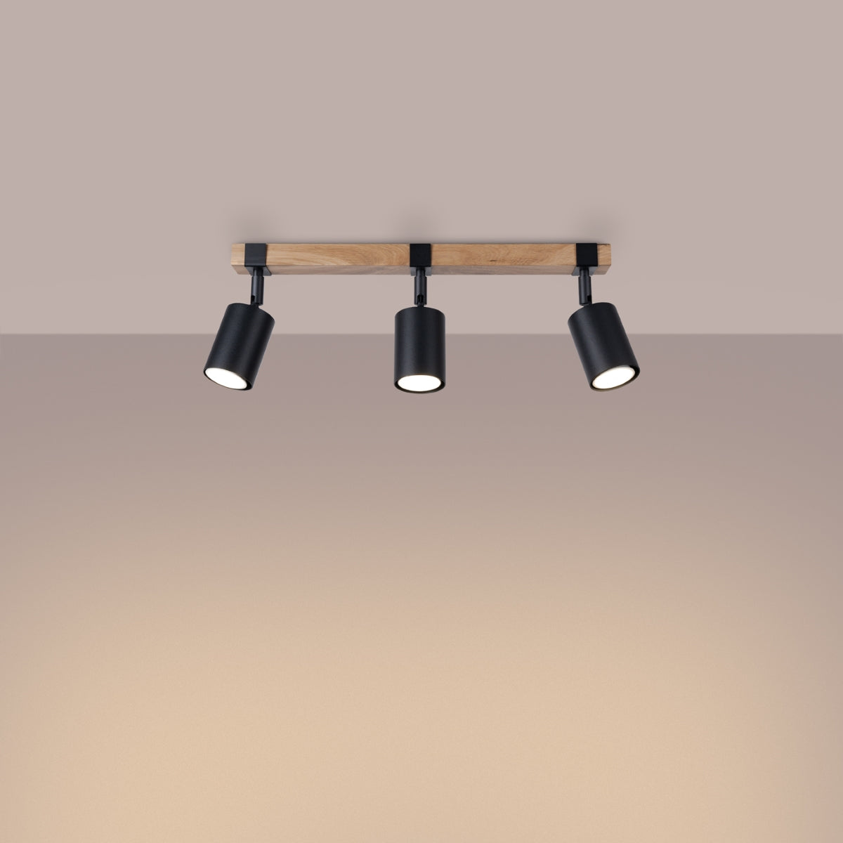 Ceiling lamp FAGER 3 black