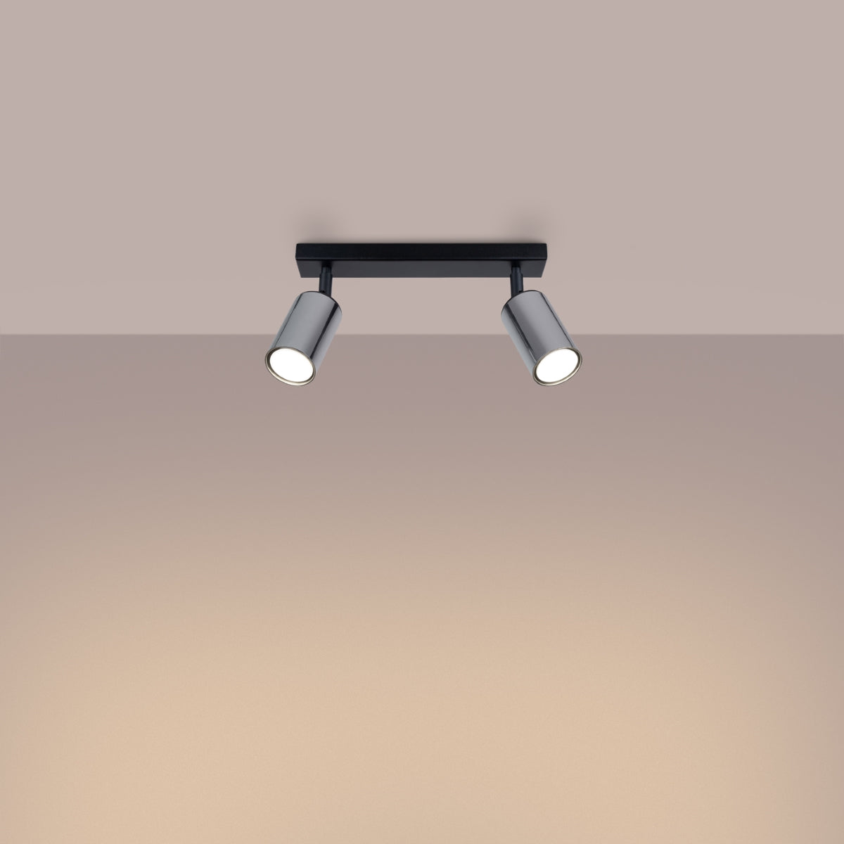 Ceiling lamp WINX 2 black/chrome