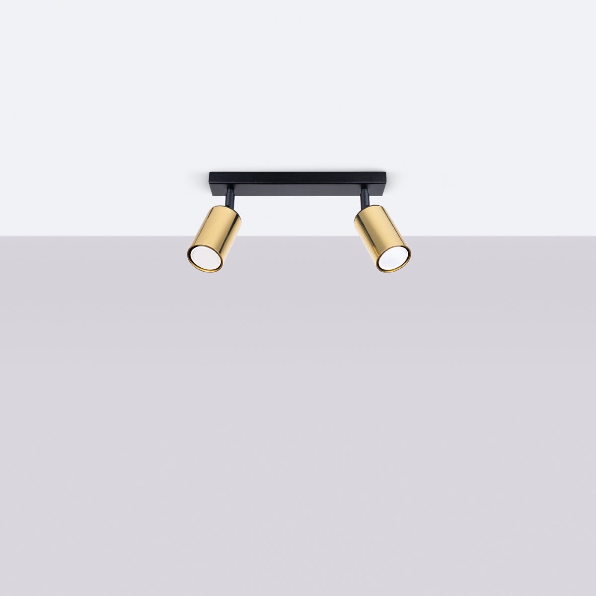 Ceiling lamp WINX 2 black/gold