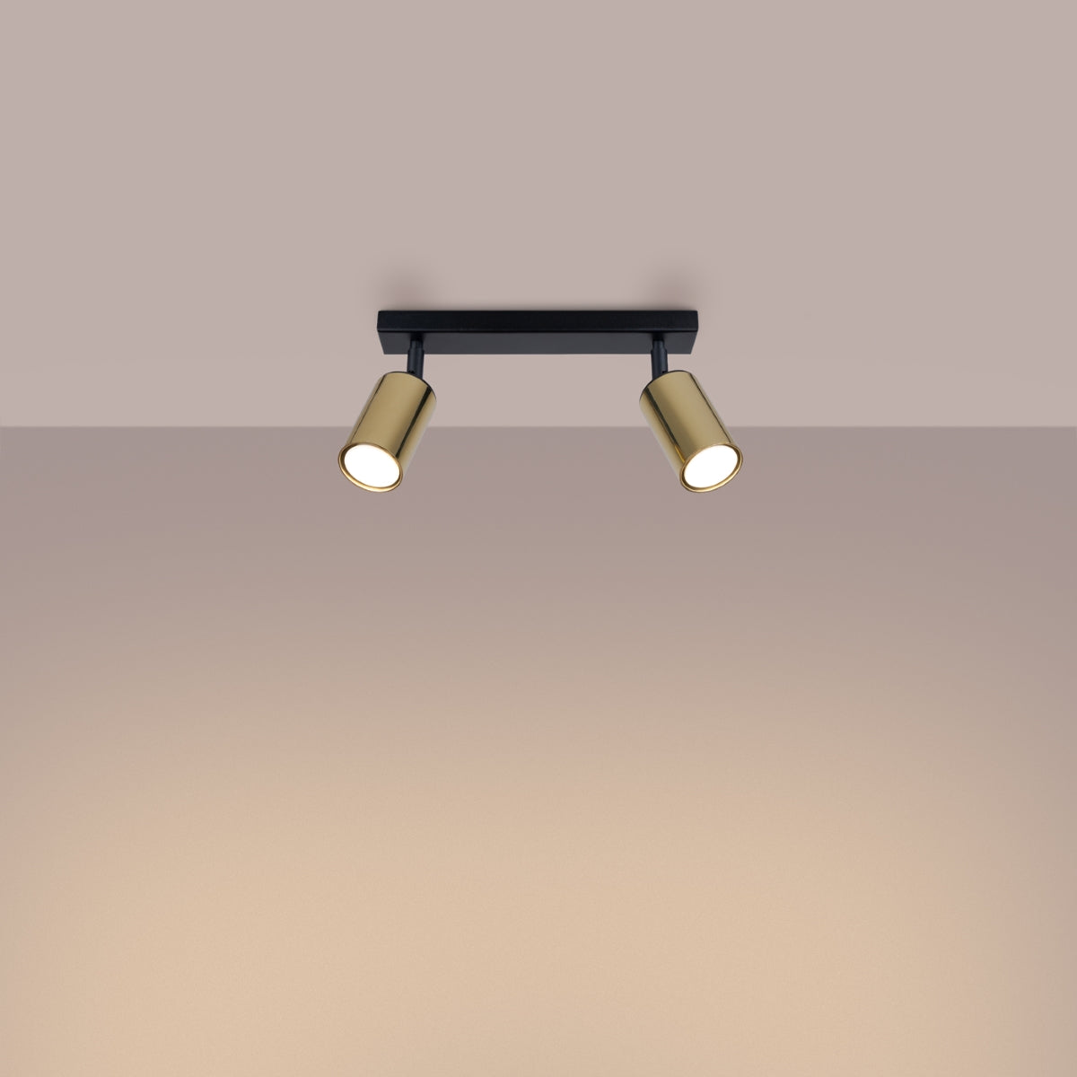 Ceiling lamp WINX 2 black/gold