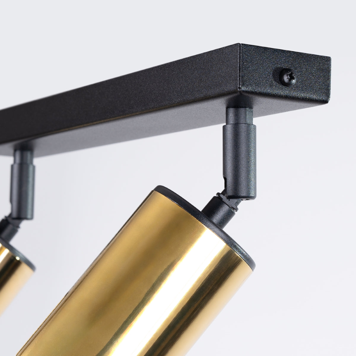 Ceiling lamp WINX 2 black/gold