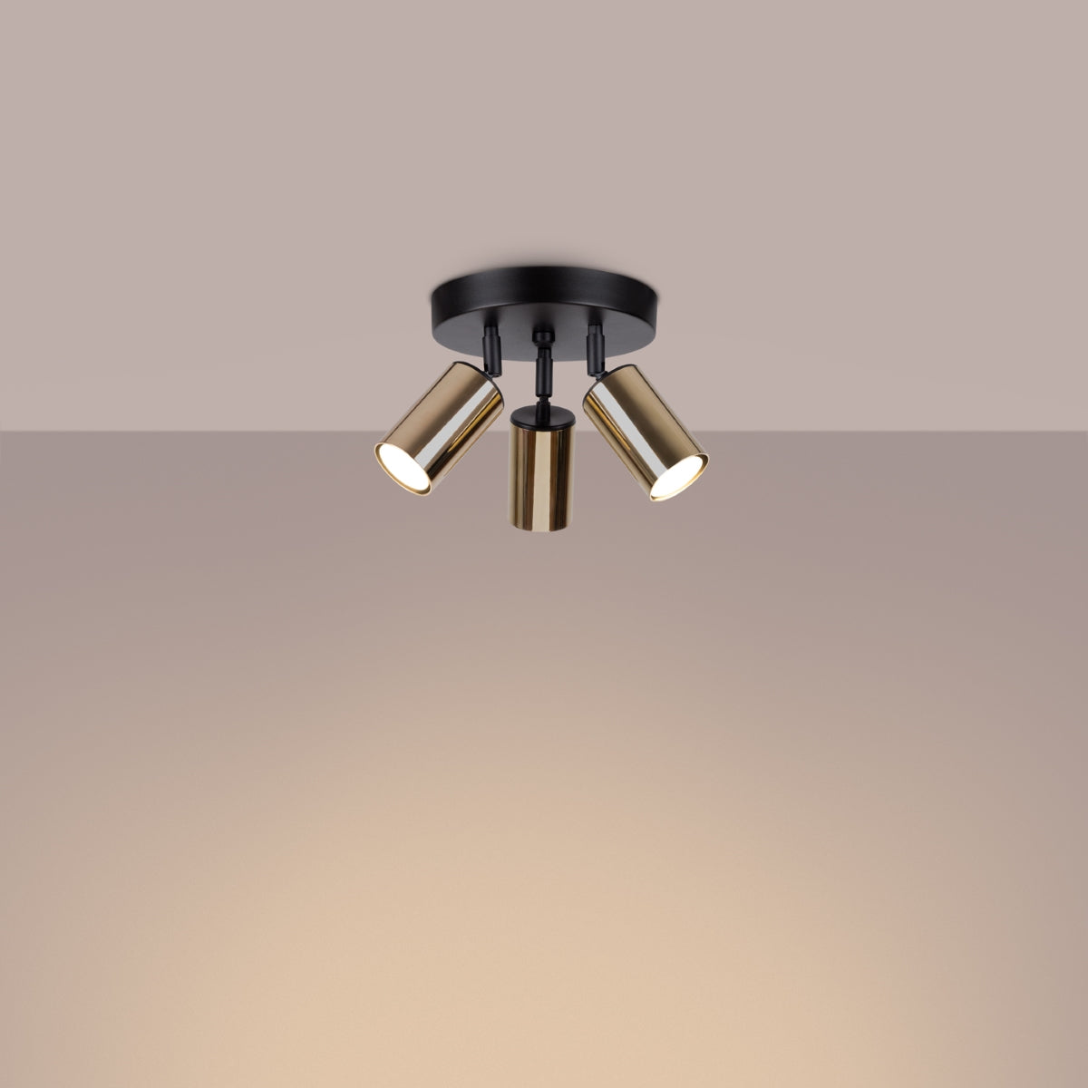Ceiling lamp WINX 3P black/gold