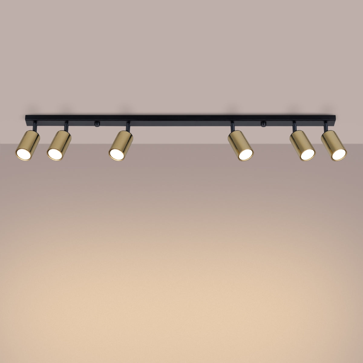 Ceiling lamp WINX 6L black/gold