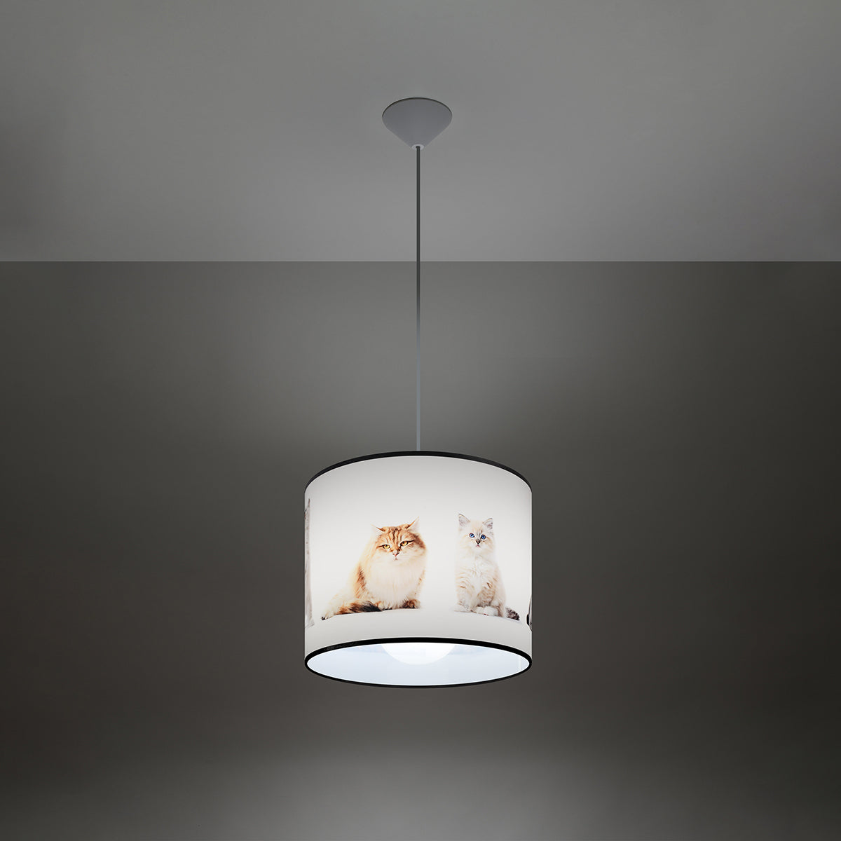 Pendant lamp KITTY 30.